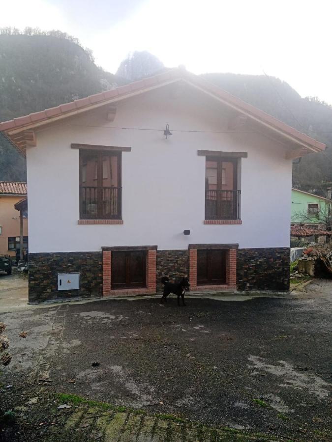 Casa Rural Gueilones, Parque Natural De Ponga Sobrefoz Exterior photo